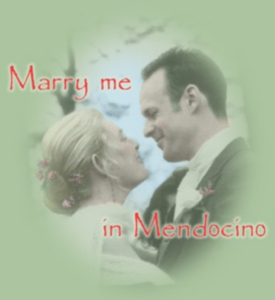 Marry Me in Mendocino