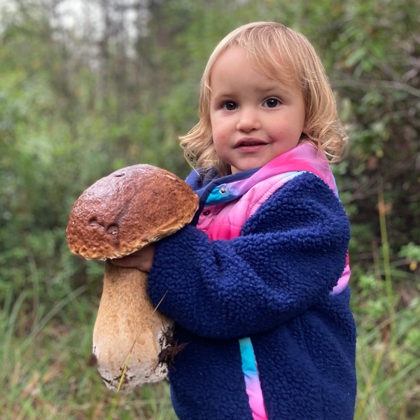 navarra-bolete